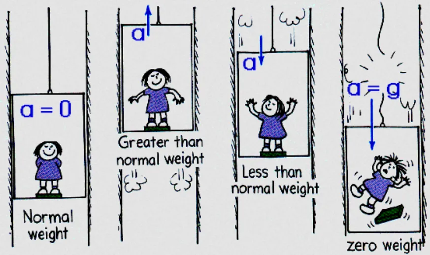 Figure 1: Free body diagram of a person in an elevator